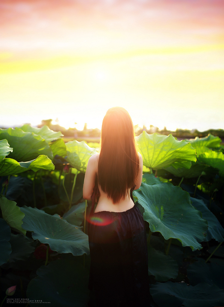 吾王长存:木浦英雄